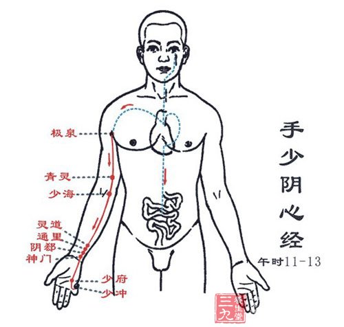 手少阴心经穴位图