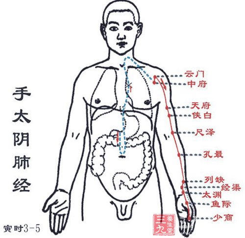 ③从肺系——气管,喉咙部横出腋下(中府,云门),④下循上臂