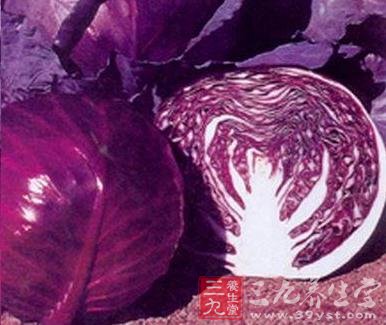 甘蓝的营养保健价值