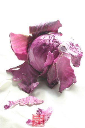 甘蓝的营养保健价值