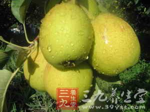 饭后吃一只梨子 让你永远健康