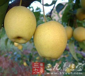 饭后吃一只梨子 让你永远健康