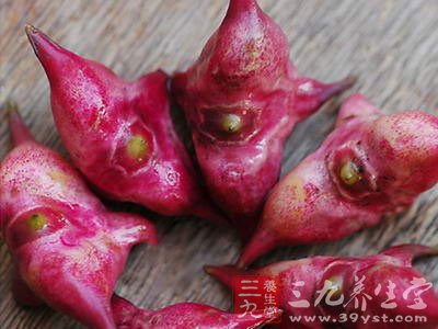 多吃菱角还能预防感冒