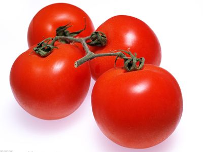 西红柿有番茄红素