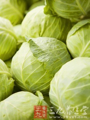 卷心菜减肥 一周快速瘦10斤