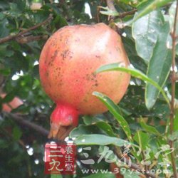 奔三女人抗衰老必吃的9种水果