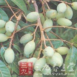 奔三女人抗衰老必吃的9种水果