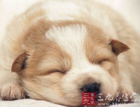 有效治疗失眠5招按摩法