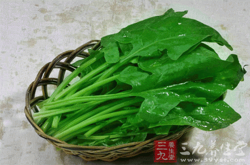 春季养生多吃韭菜豆芽菠菜