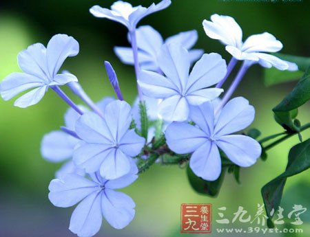 晚睡早起 多做户外活动