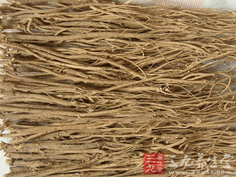 黄芪补气 春季养生要靠它