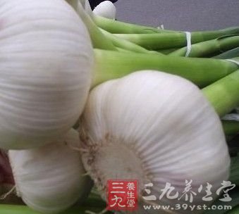 春季多吃青菜助身体杀菌