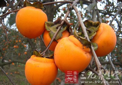 柿子吃出好健康