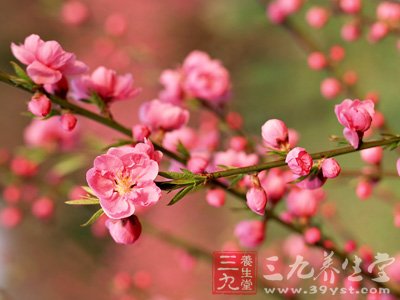7大养生妙方 春天让人们更健康