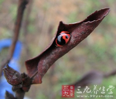 惊蛰时节保健养生的四大要点