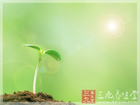 春季养生五个要素