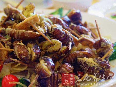 核桃炖蚕蛹补精血治疗腰膝酸软