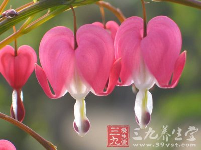 中医支招女性养血六法