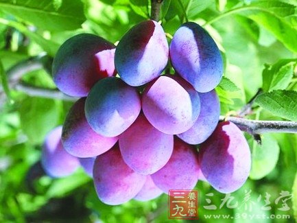 可以减肥的健康零食 让你越吃越瘦