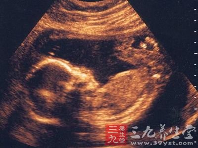 男性胎儿会在母亲子宫里勃起
