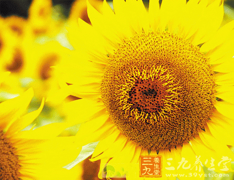 吃维生素B族食物调节春季情绪