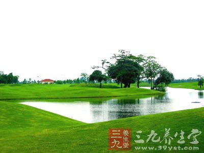 高尔夫球手精心呵护膝关节