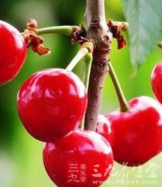中医养颜养生 7大黄金美食