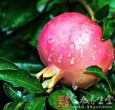 常吃这4种水果 助女人抗衰老