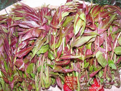 春季秀曼妙身材 十款低热量食物大搜索