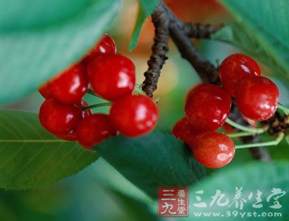 揭秘受欢迎的7种有毒食物