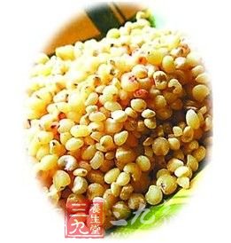 养生常识 吃糙粮老少皆宜