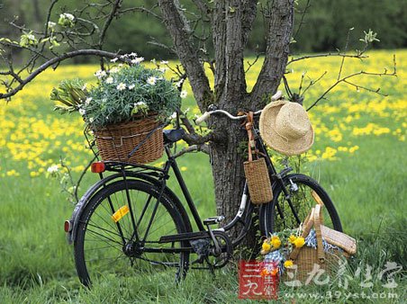 骑车健步走登山可成春天运动首选