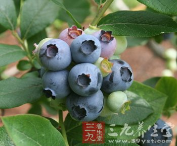 女性排毒养生 8大水果祛除身体疾病