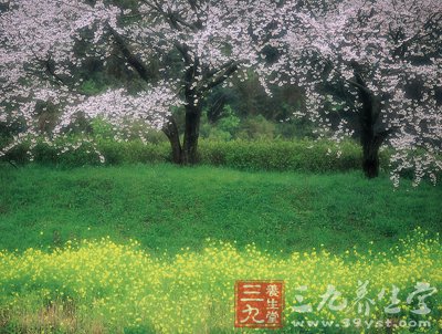 四月养生经 补肾调阴阳防疾病