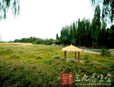 多做保护肝脏的四个&ldquo;加分项&rdquo;
