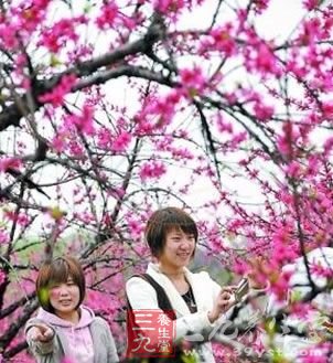 中医指南：阳春三月踏青更健康