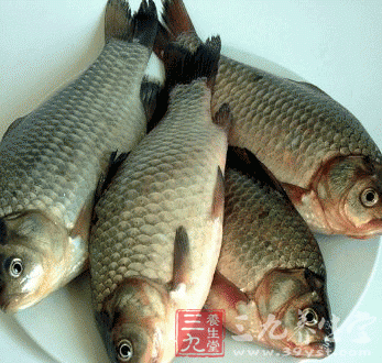 不同鱼类的食疗养生保健功效