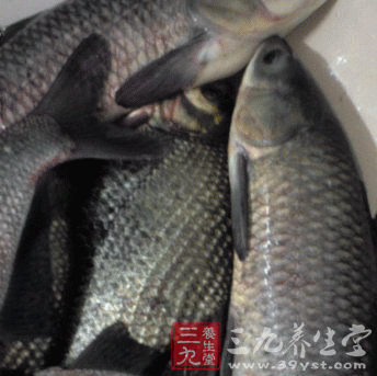不同鱼类的食疗养生保健功效