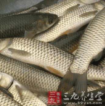不同鱼类的食疗养生保健功效