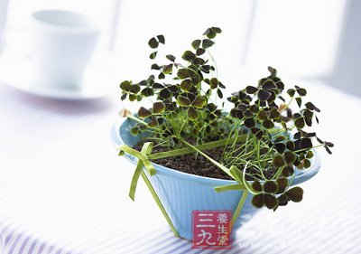 出差不择床 6招让你睡到大天亮