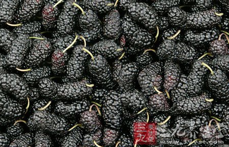 十种壮阳食物让您虎虎生威