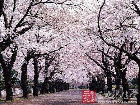 春季三招可以提神缓解春困