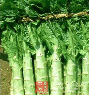 莴苣的营养价值与食疗功效