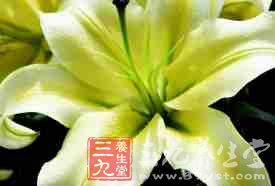 莲子百合红豆沙清心安神补肝益肾