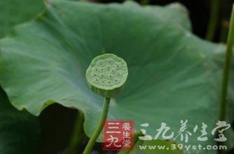 莲子百合红豆沙清心安神补肝益肾