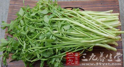 春季 多吃野菜对身体好