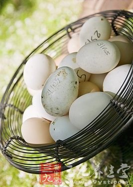 健康饮食 要做到合理搭配食物