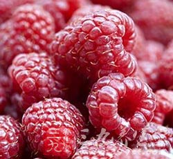 桑葚子的功效 女人必吃4大黑色水果