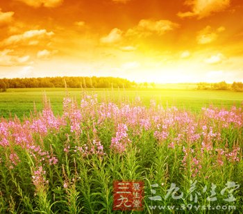 初夏保健养生全面提醒