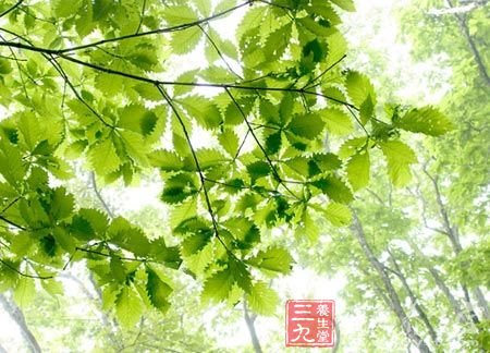 备忘录1 不过度疲劳